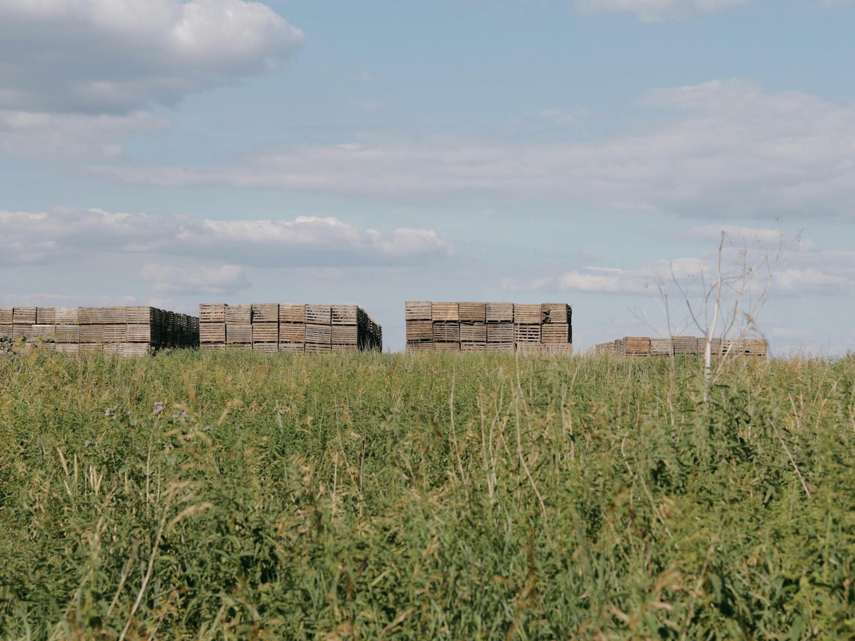 Drewniane skrzynie ustawione w stosy na zielonej łące pod niebem z chmurami