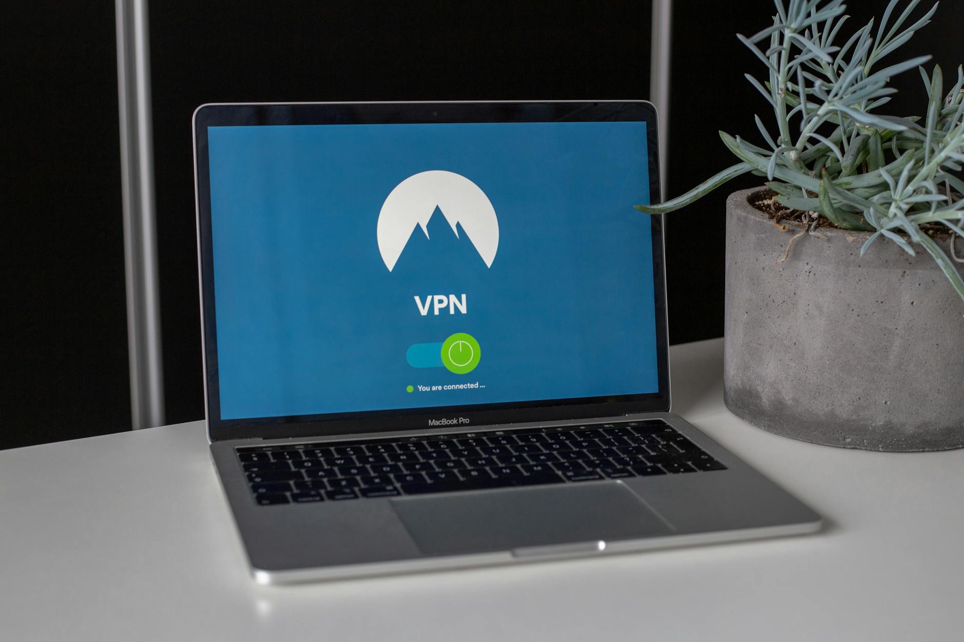 Laptop z włączonym VPN na biurku obok niewielkiej sukulenta